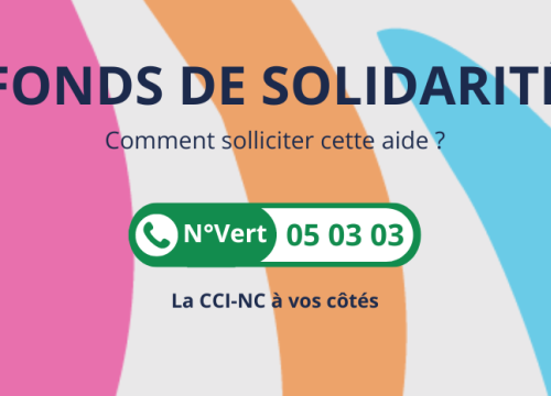 Un tutoriel pour vous aider dans votre demande du Fonds de solidarité