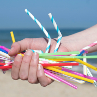 plastique à usage unique