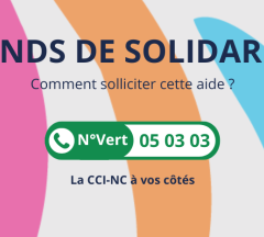 Un tutoriel pour vous aider dans votre demande du Fonds de solidarité