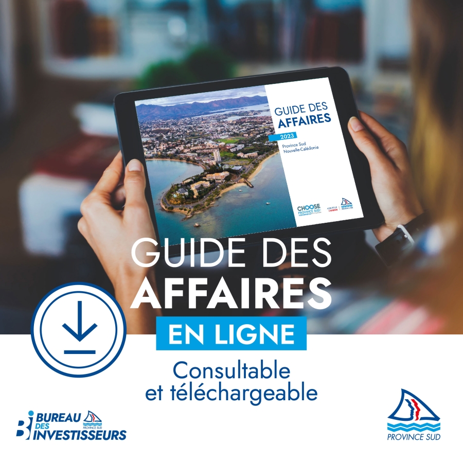 DDET guide des affaires 2023