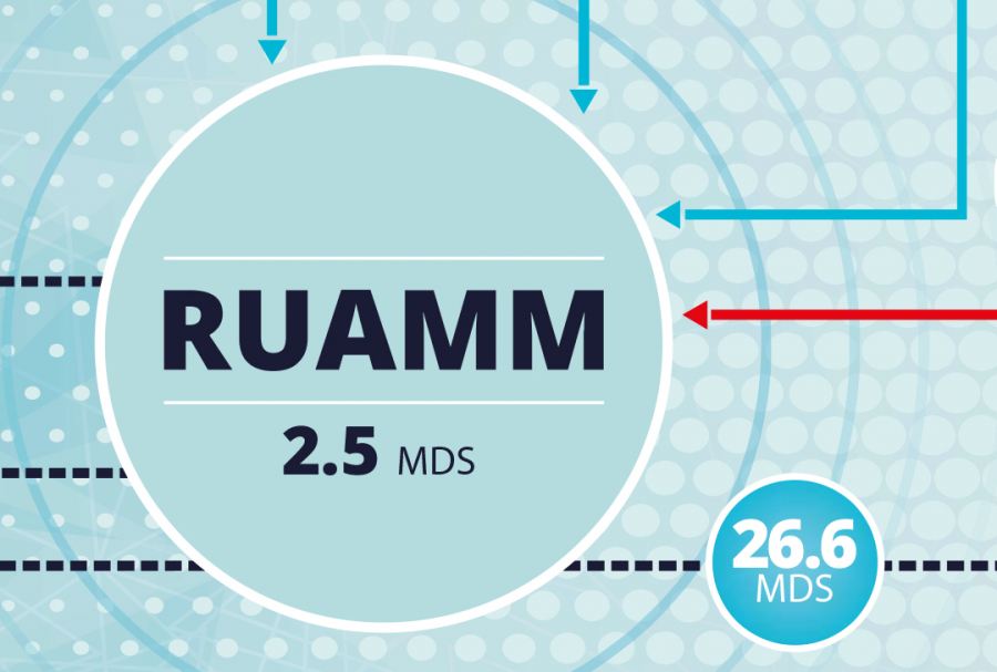 RUAMM-financement-santé